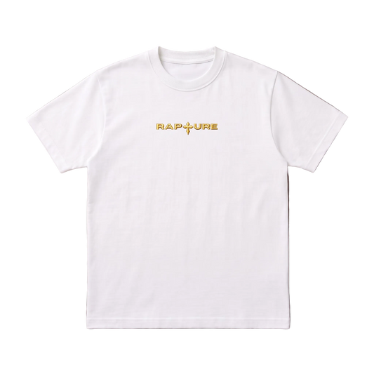 Premium Heavyweight Tshirts